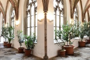 Bývalý augustiniánský klášter Třeboni