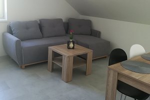 Ubytování Borovany