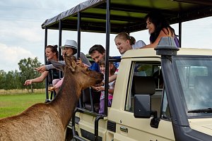 Residence Safari Resort