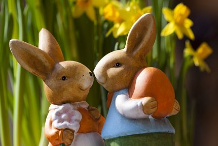 Velikonoční cesta za králíky
