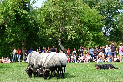 OVČÁCKÉ SLAVNOSTI