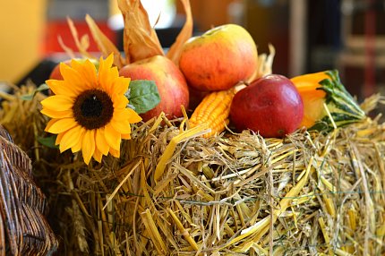 Hody s plody podzimu 2025